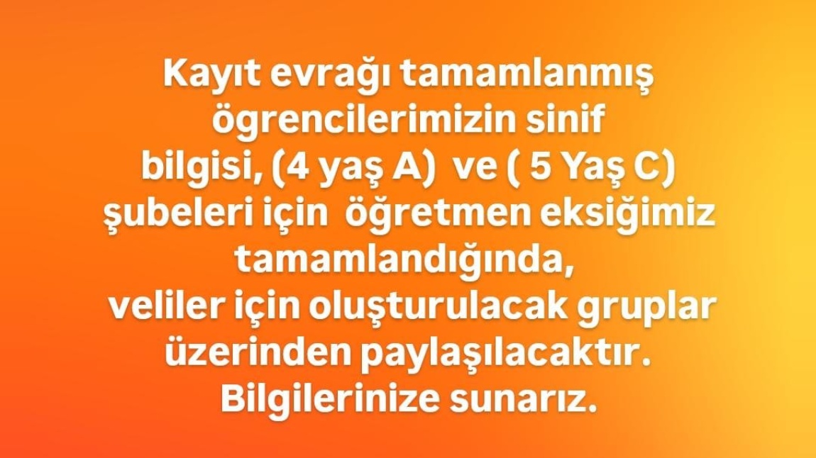 SINIF ŞUBELERİ HAKKINDA